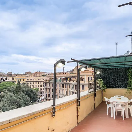 Pantera Re Di Rome