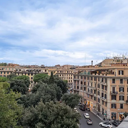 Pantera Re Di Rome